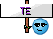 TE  TE
